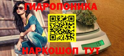 ГАЛЛЮЦИНОГЕННЫЕ ГРИБЫ Кинель